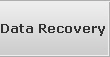Data Recovery 